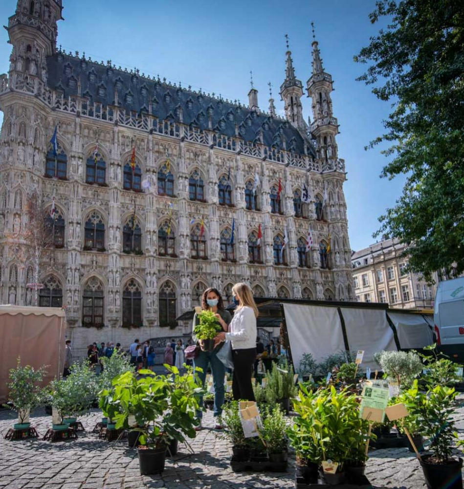Leuven Visit Header